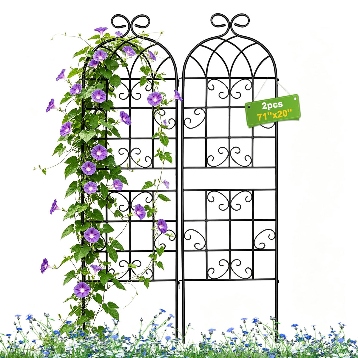 Lorenzo trellis front view showing full 72x20 inch arch and elegant support
