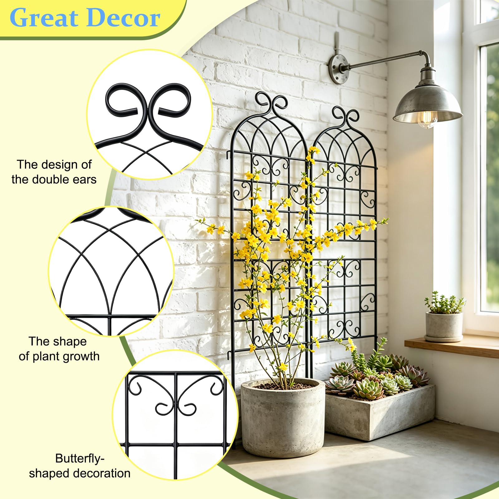 Lorenzo trellis leaned against a wall to save space and guide vines