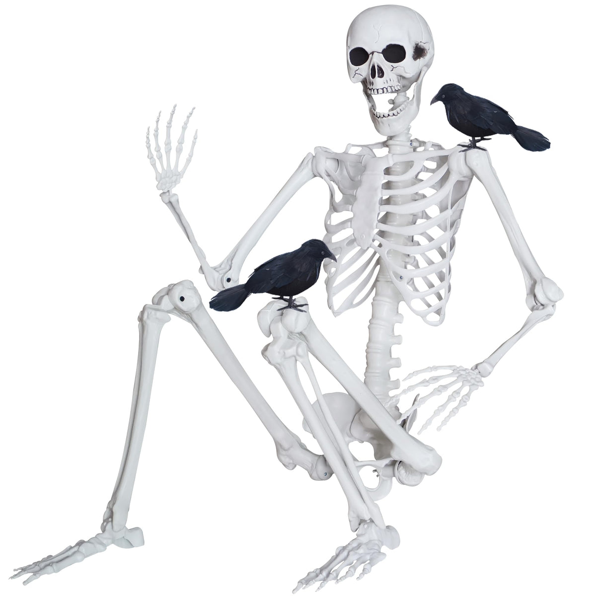 LOSFOTBO full-front view skeleton showing life-size presence and instant impact