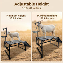 LOSIPTOE detachable feed bin removed for cleaning offering calmer animals