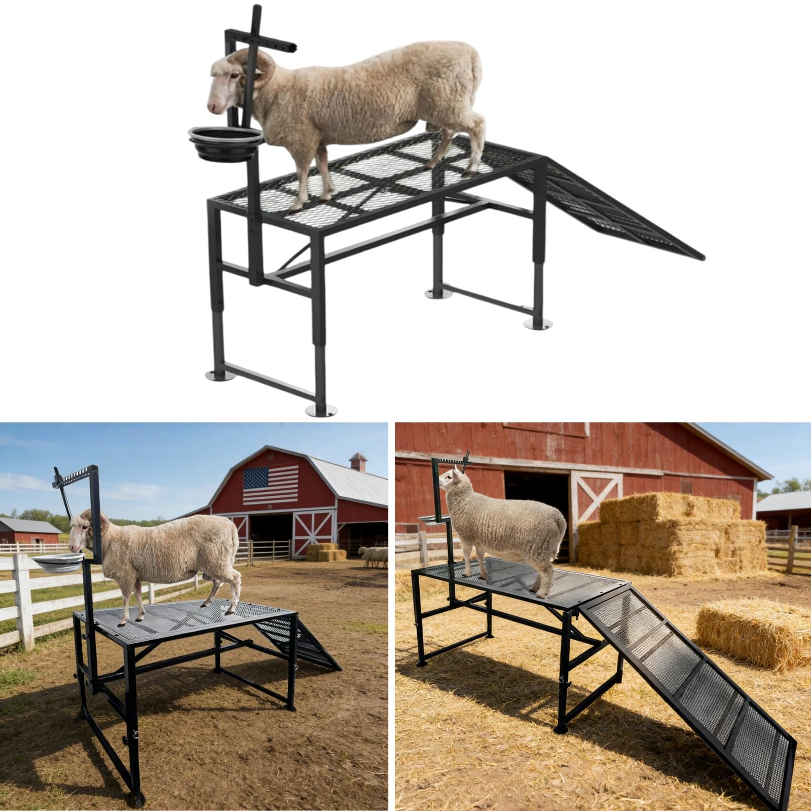 LOSIPTOE front view of milking stand showing sturdy frame and ramp benefit safety