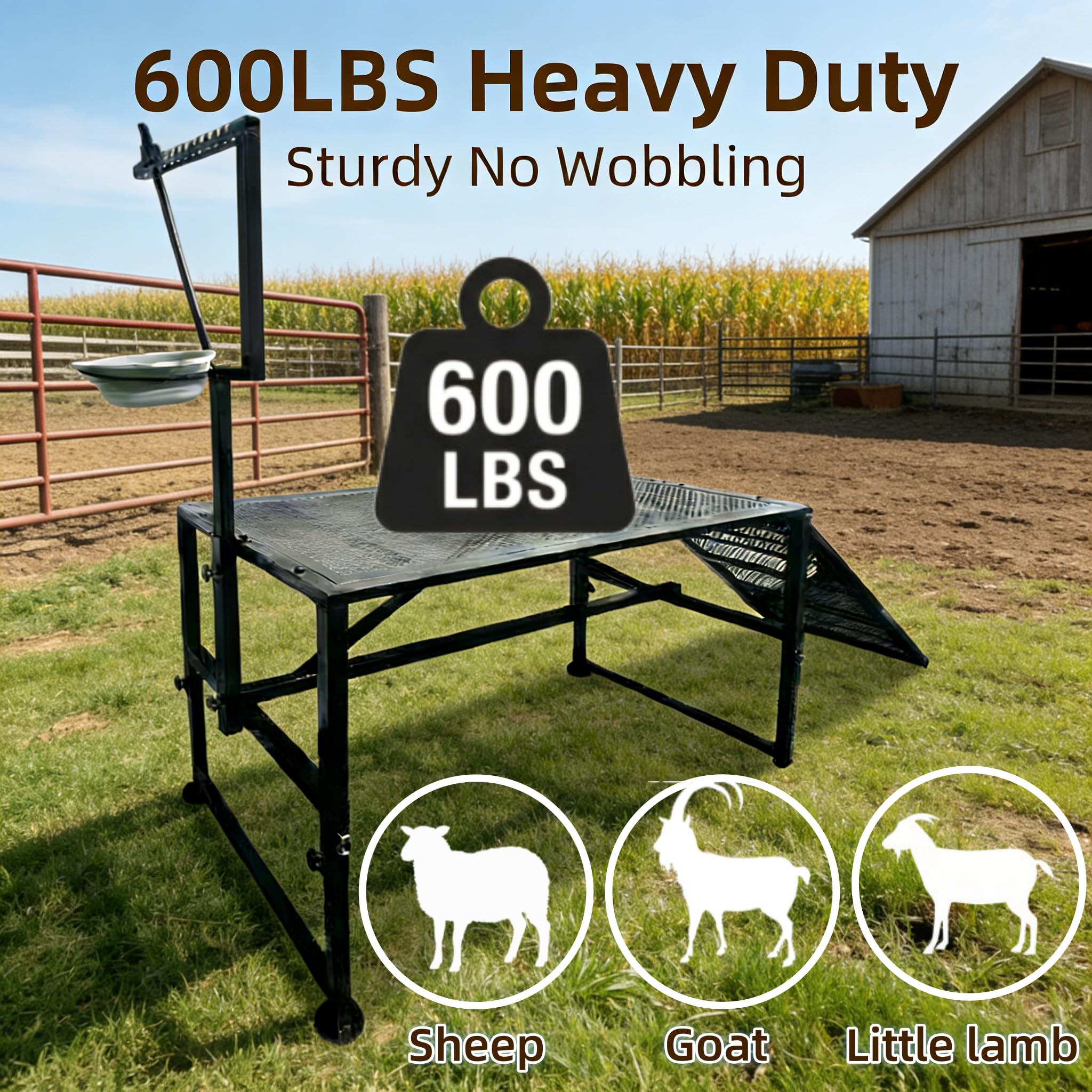LOSIPTOE stand in use during milking showing stable platform benefit