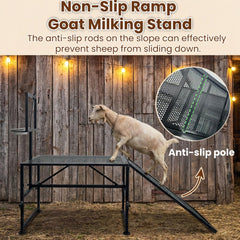 LOSIPTOE ramp close-up with anti-slip pole providing secure animal traction