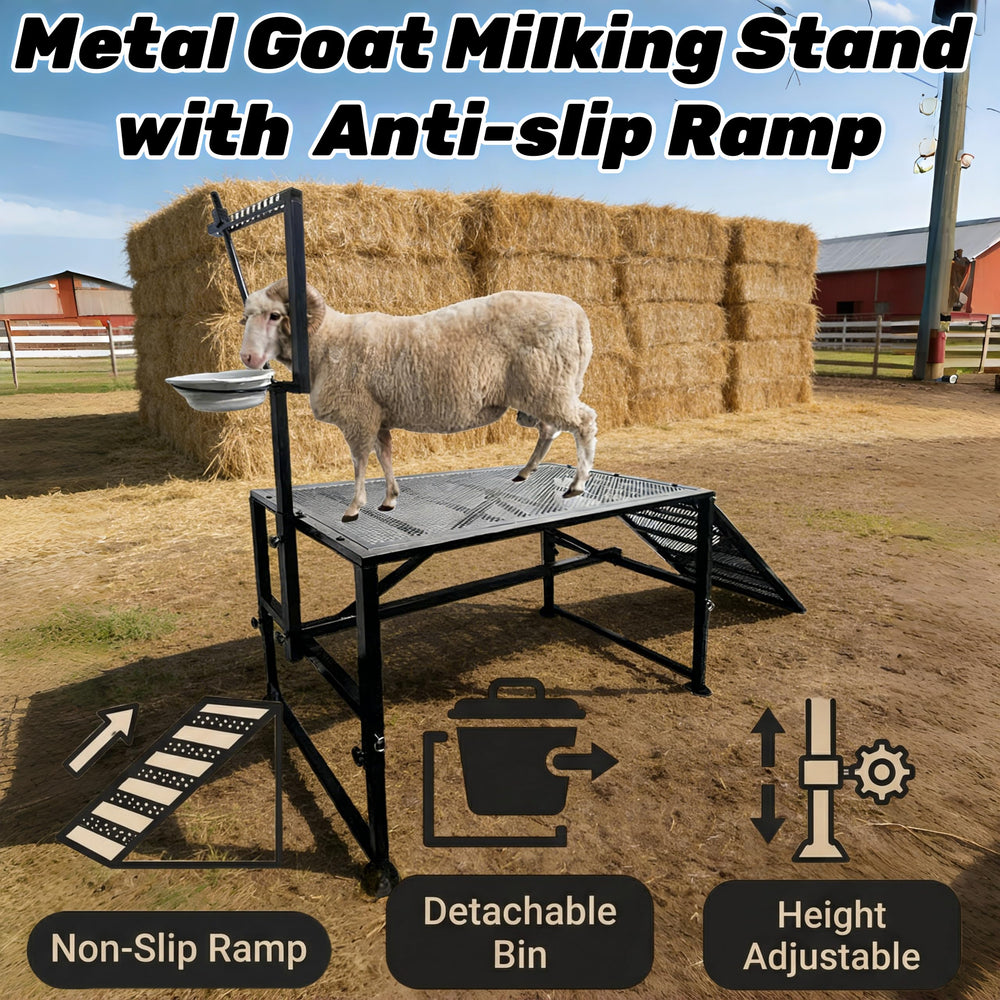 LOSIPTOE scale comparison with goat showing size and space-saving benefit