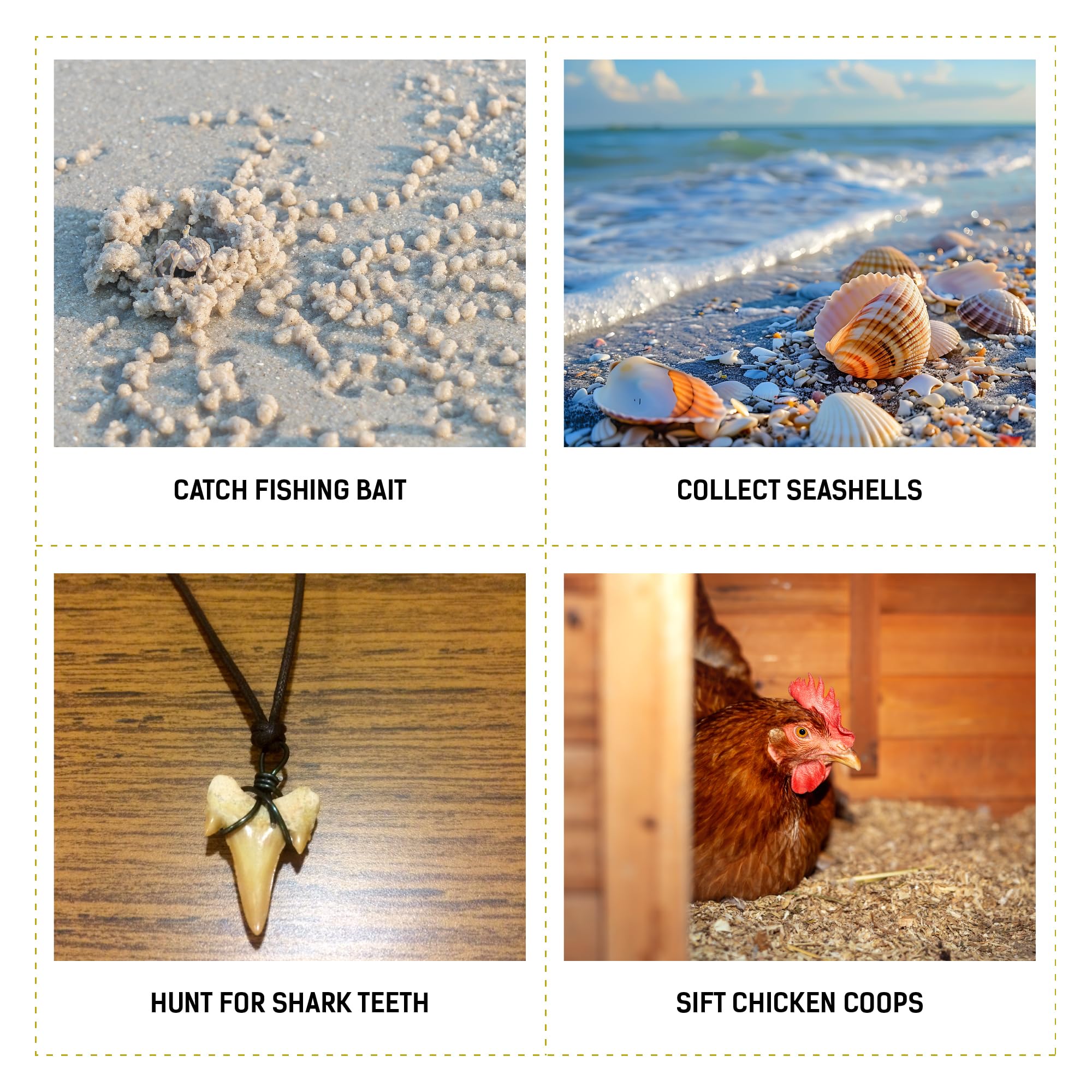LOSTRONAUT lifestyle spread of collected shells and shark teeth illustrating successful beach finds
