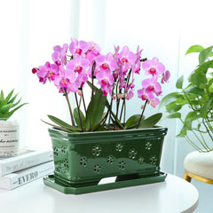 Lovely Ran underside showing drainage hole and matching tray preventing tabletop mess