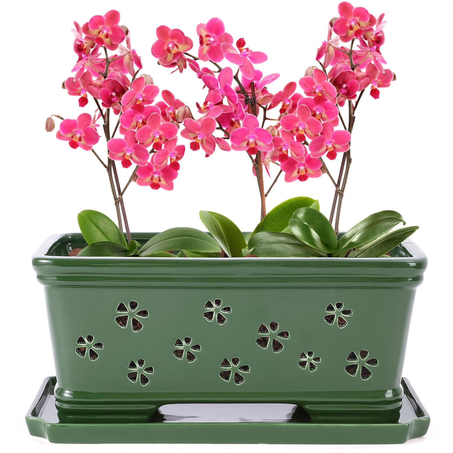 Lovely Ran front view of green ceramic orchid pot showcasing glaze and shape, enhances decor