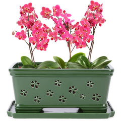 Lovely Ran front view of green ceramic orchid pot showcasing glaze and shape, enhances decor