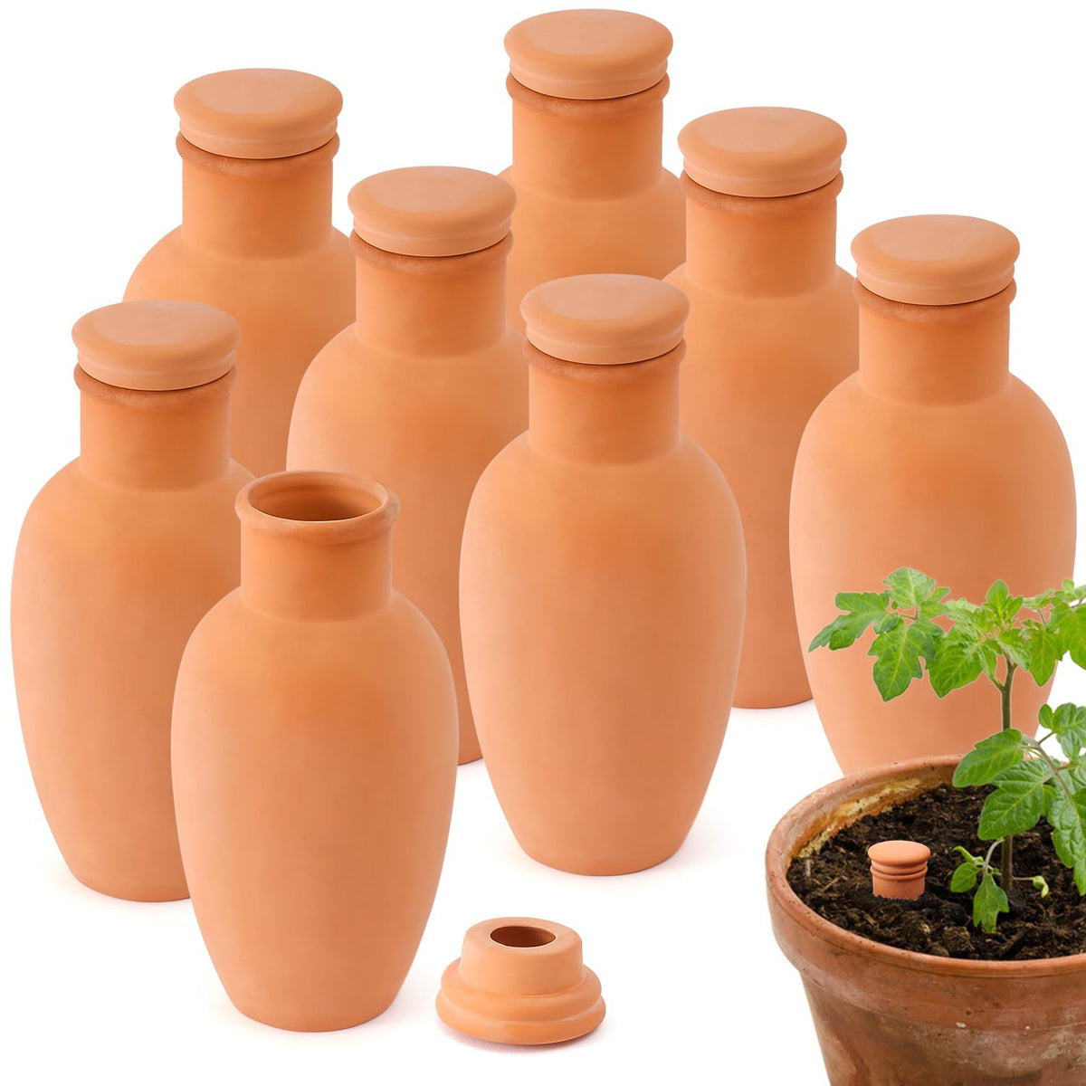 Lovely Ran front view of eight terracotta ollas showing complete set and benefits