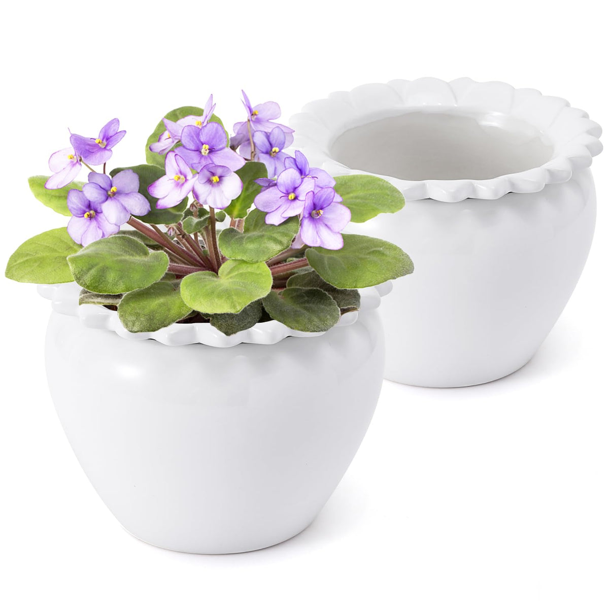 Lovely Ran front view showing two white self-watering pots and tidy aesthetic benefit