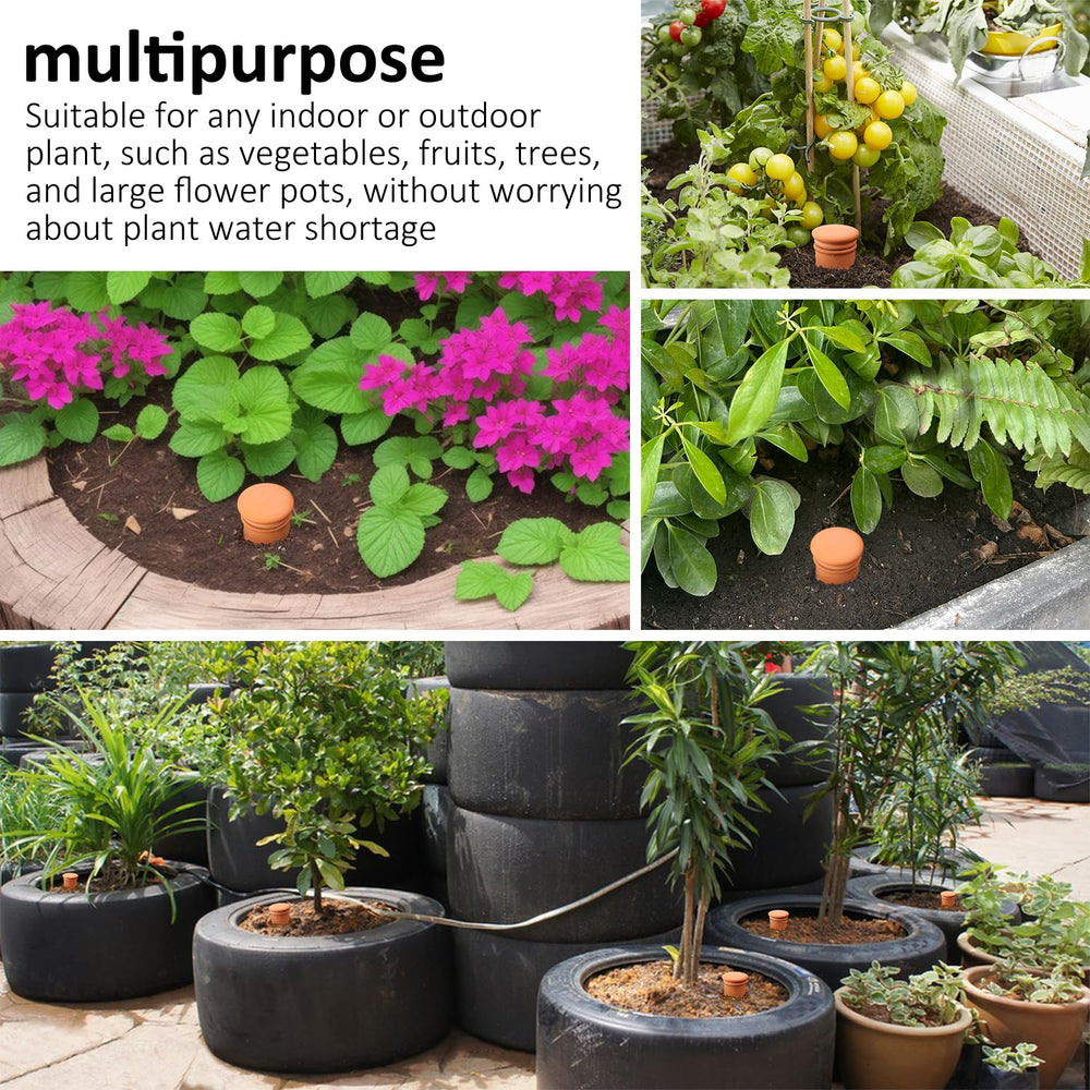 Lovely Ran multiple ollas in garden bed providing even, low-maintenance irrigation