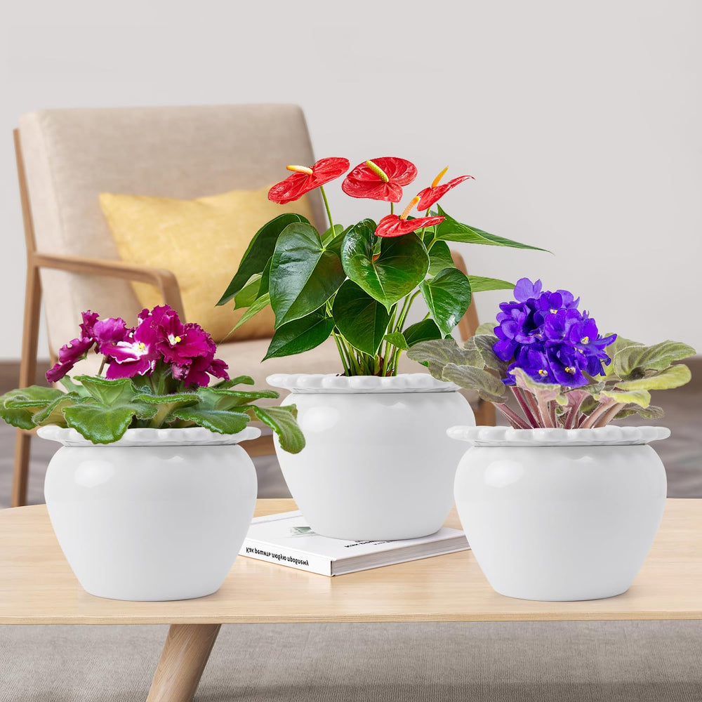Lovely Ran glazed ceramic surface detail highlighting easy-clean and decor benefit
