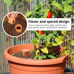 Lovely Ran olla inserted in pot of herbs demonstrating hands-free watering benefit