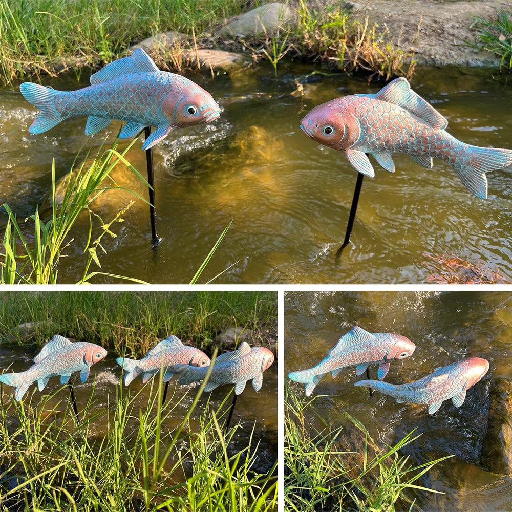 Lovely Ran koi placed at pond edge adding elegance to garden scene