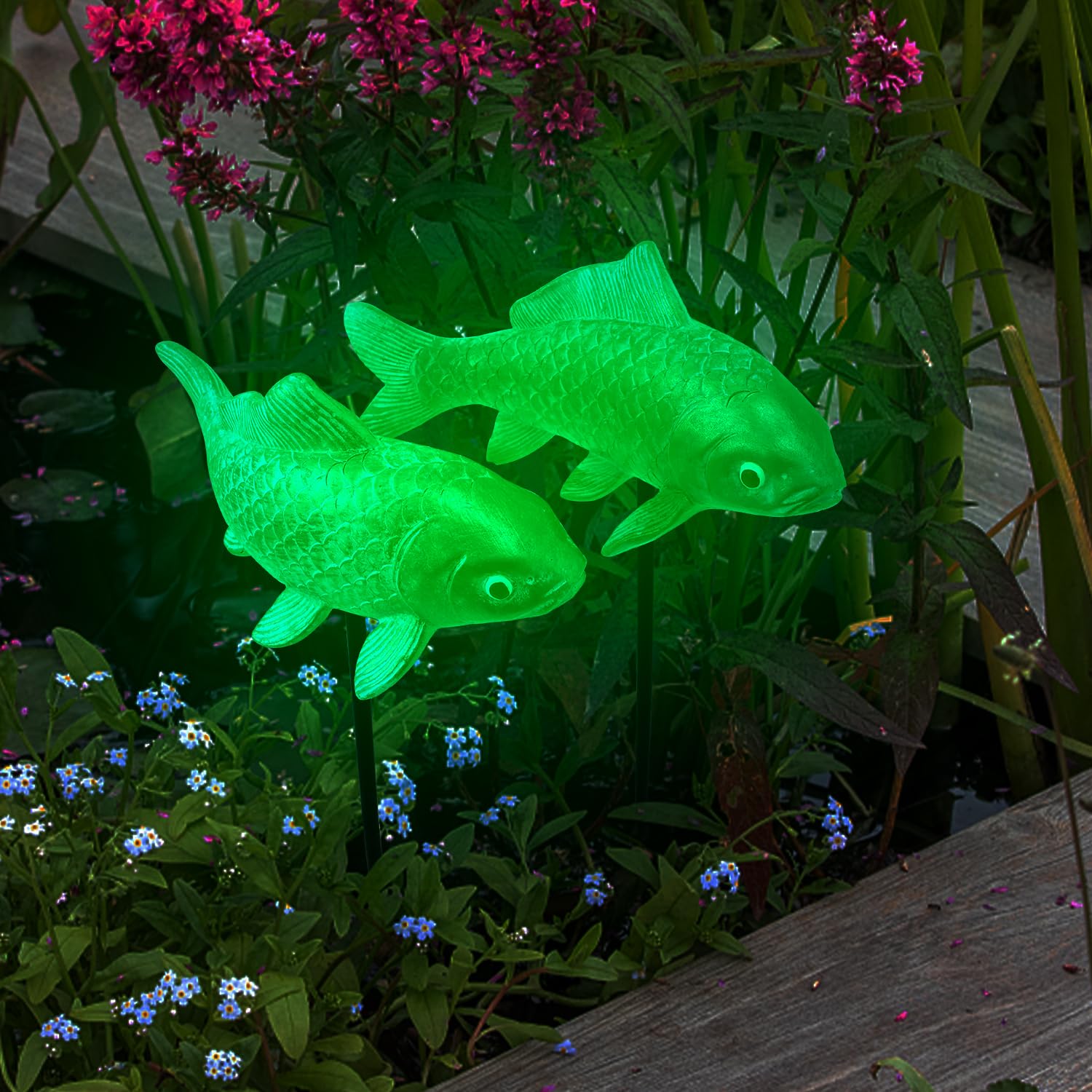 Lovely Ran koi glowing at night creating soft ambient garden sparkle