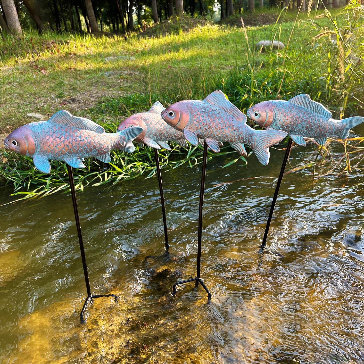 Lovely Ran koi beside a hand showing scale and compact outdoor size