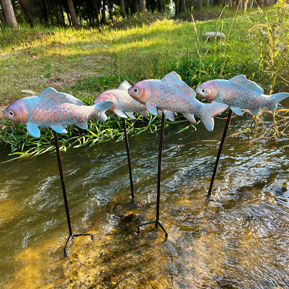 Lovely Ran koi beside a hand showing scale and compact outdoor size