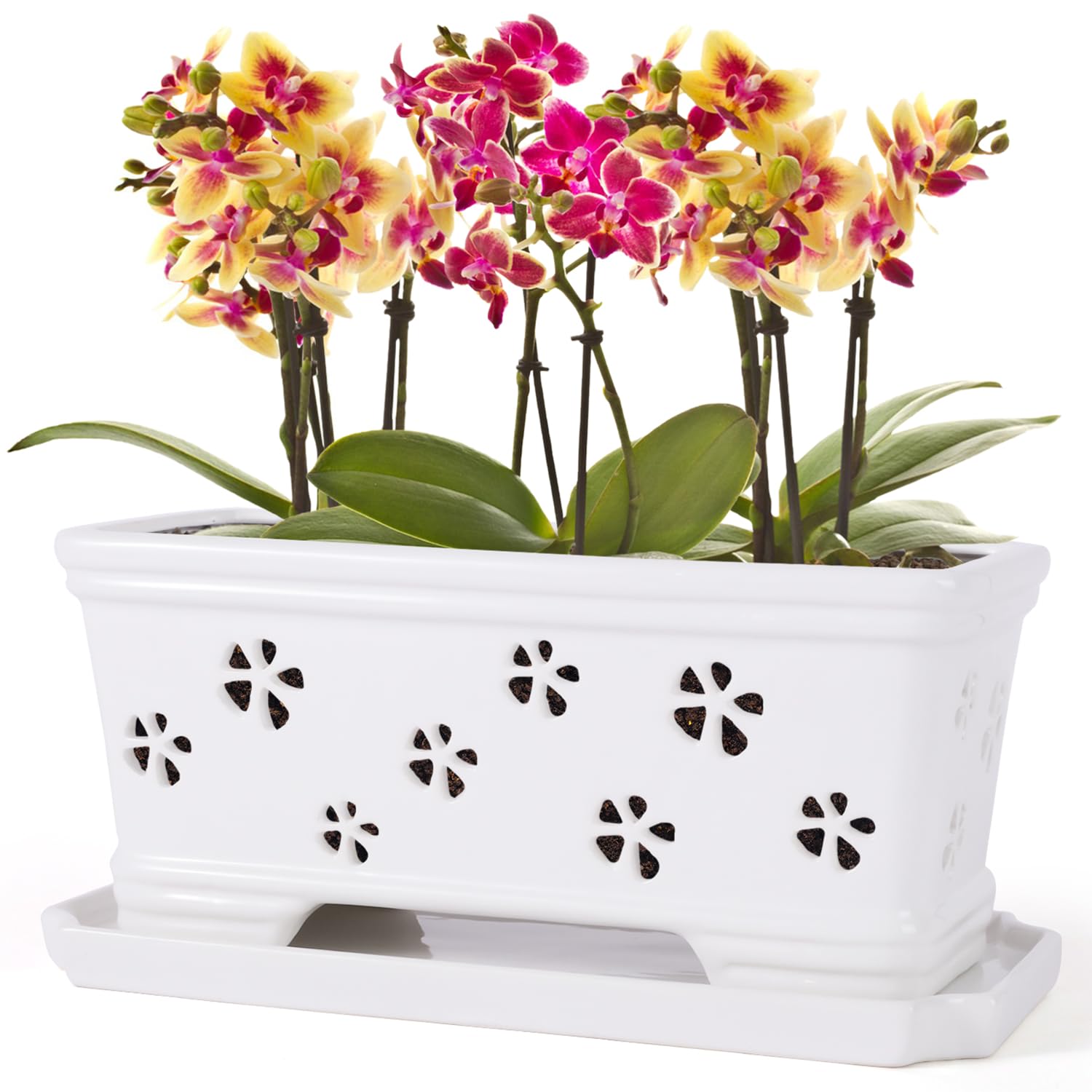 Lovely Ran front view of white orchid pot showing elegant shape and ventilation benefits