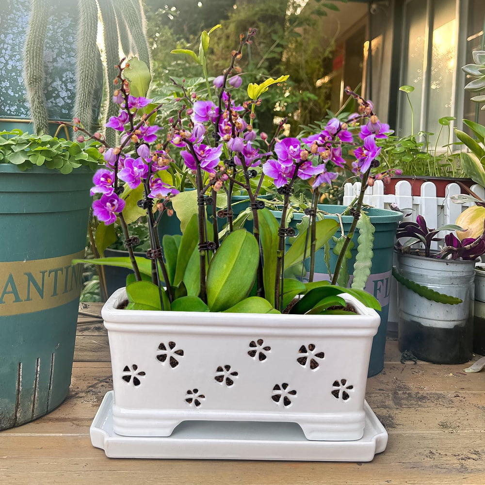 Lovely Ran pot held in hand showing scale and easy placement benefit