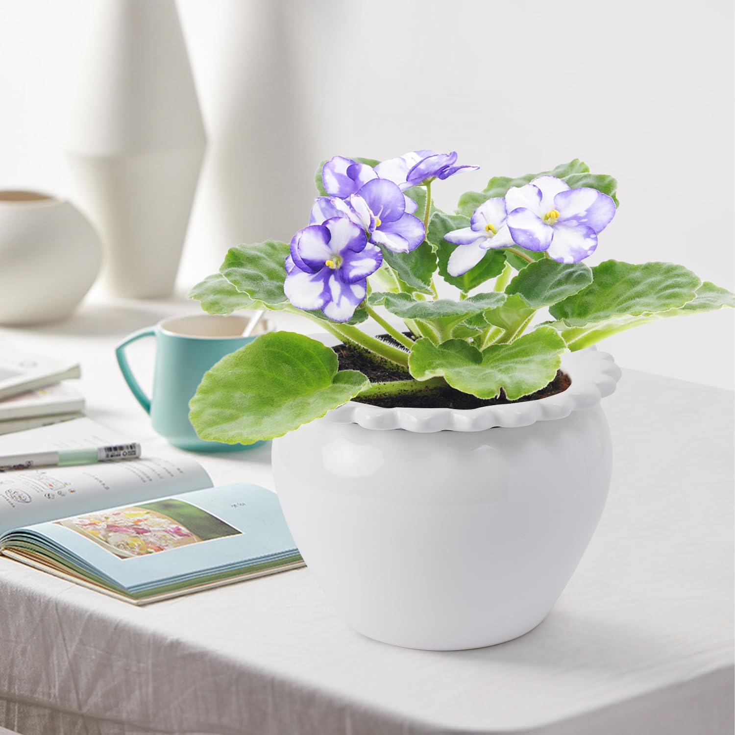 Lovely Ran planted pot on a sunny windowsill demonstrating low-maintenance benefit