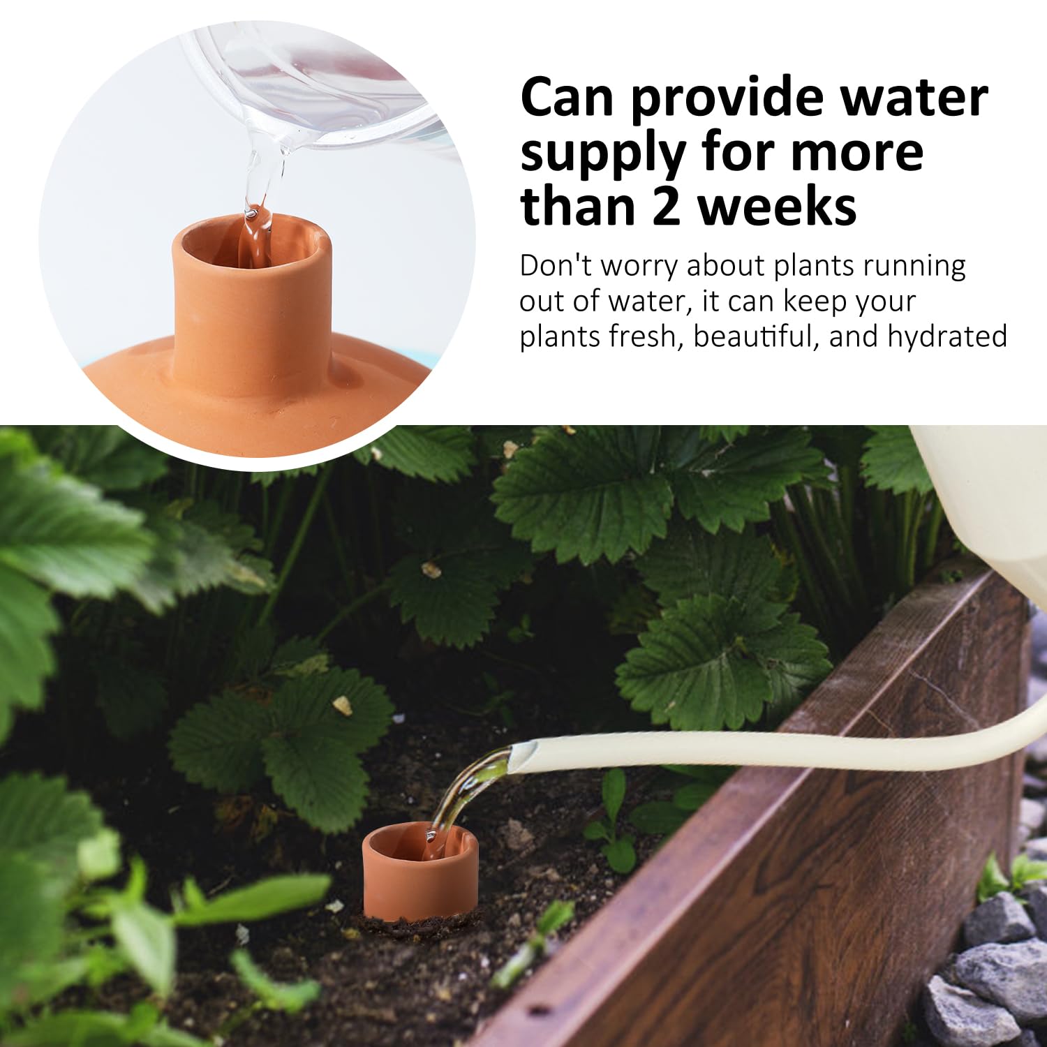 Lovely Ran hand refilling olla through top cap for convenient on-site watering