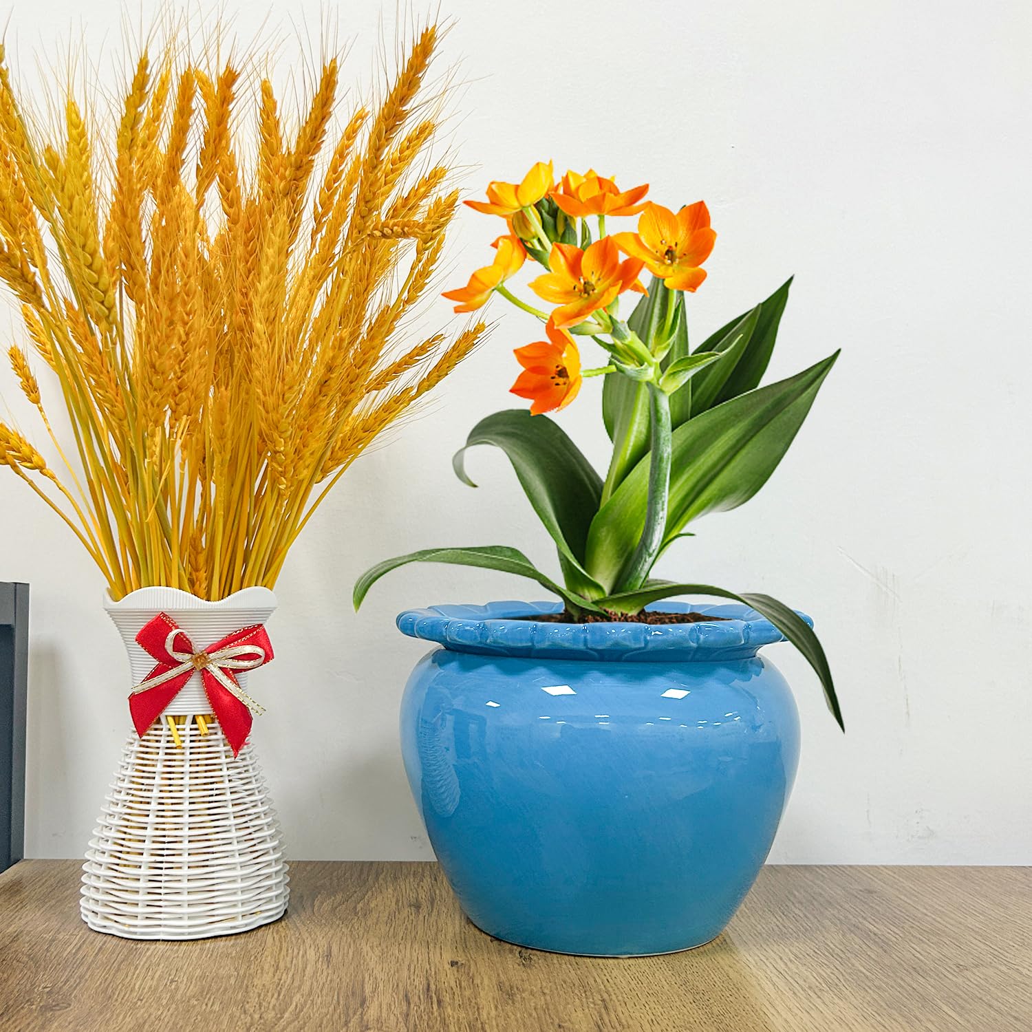Lovely Ran styled on windowsill providing decorative and space-saving benefit