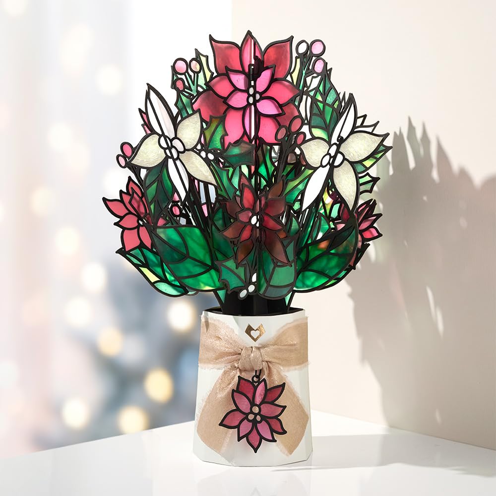 Lovepop poinsettia in window catching sunlight to create stained-glass sparkles