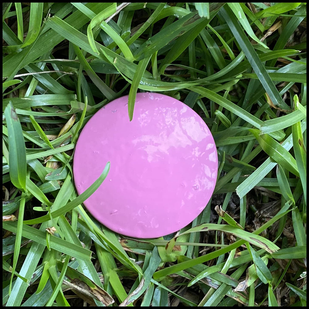LOW PROFILE SURVEY STAKE flush in-ground closeup showing safe low profile