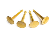 LOW PROFILE SURVEY STAKE front view showing brass head and stem for durable boundary marking