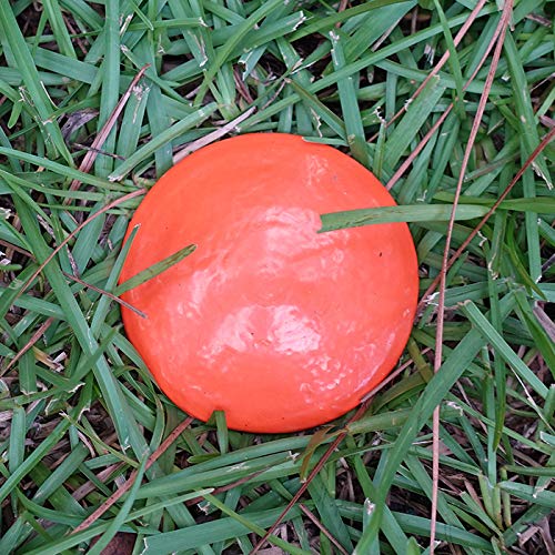 LOW PROFILE SURVEY STAKE close-up side profile, low-profile design prevents snags