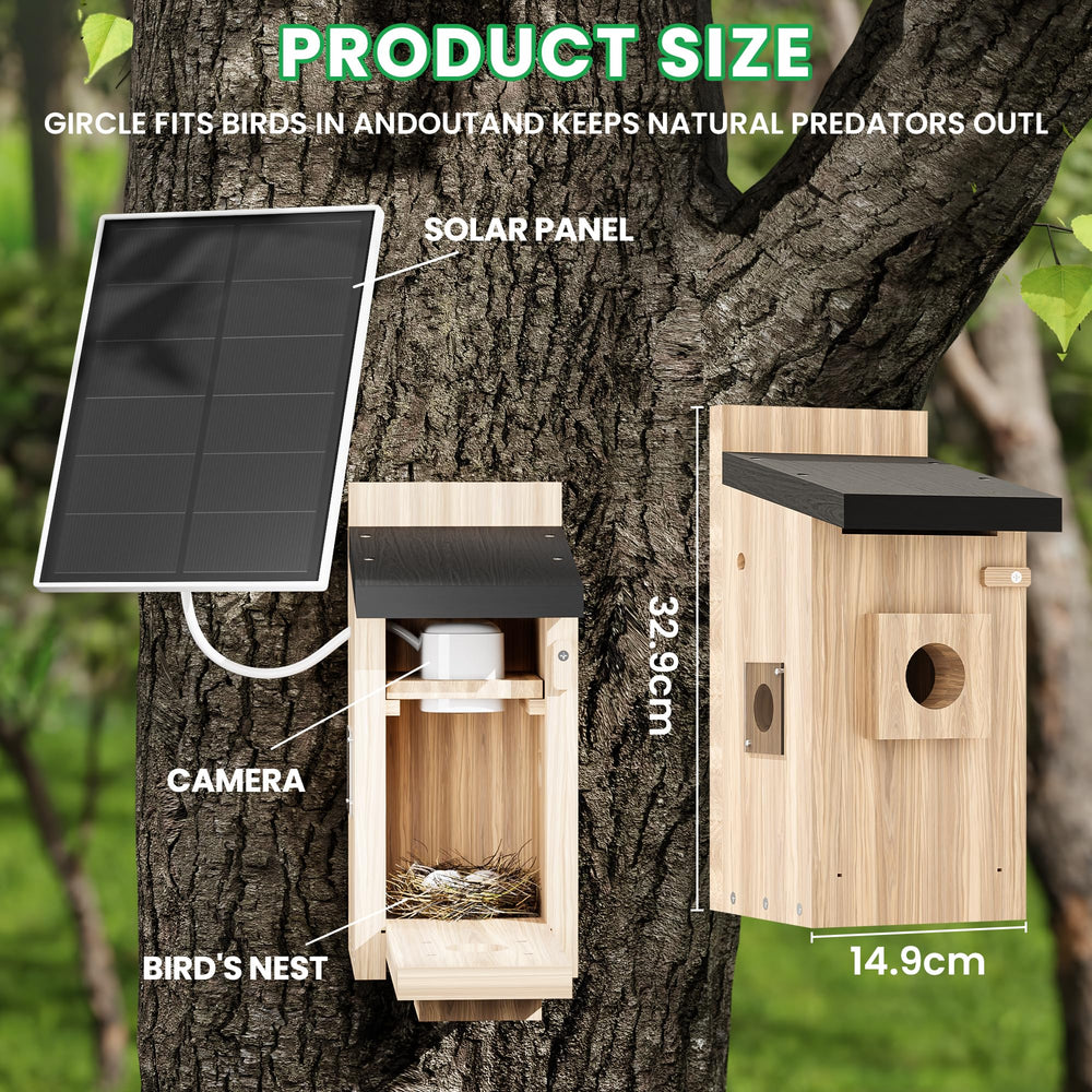 LPDISPLAY camera closeup inside the birdhouse lens capturing clear high‑resolution detail