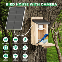 LPDISPLAY interior night vision view showing nocturnal monitoring without disturbance