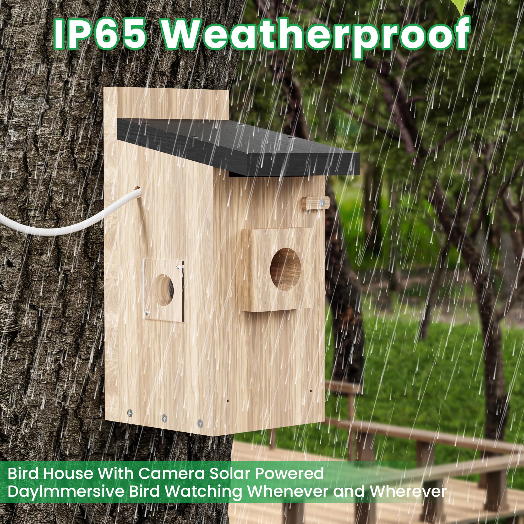 LPDISPLAY birdhouse mounted in garden illustrating discreet observation and habitat fit