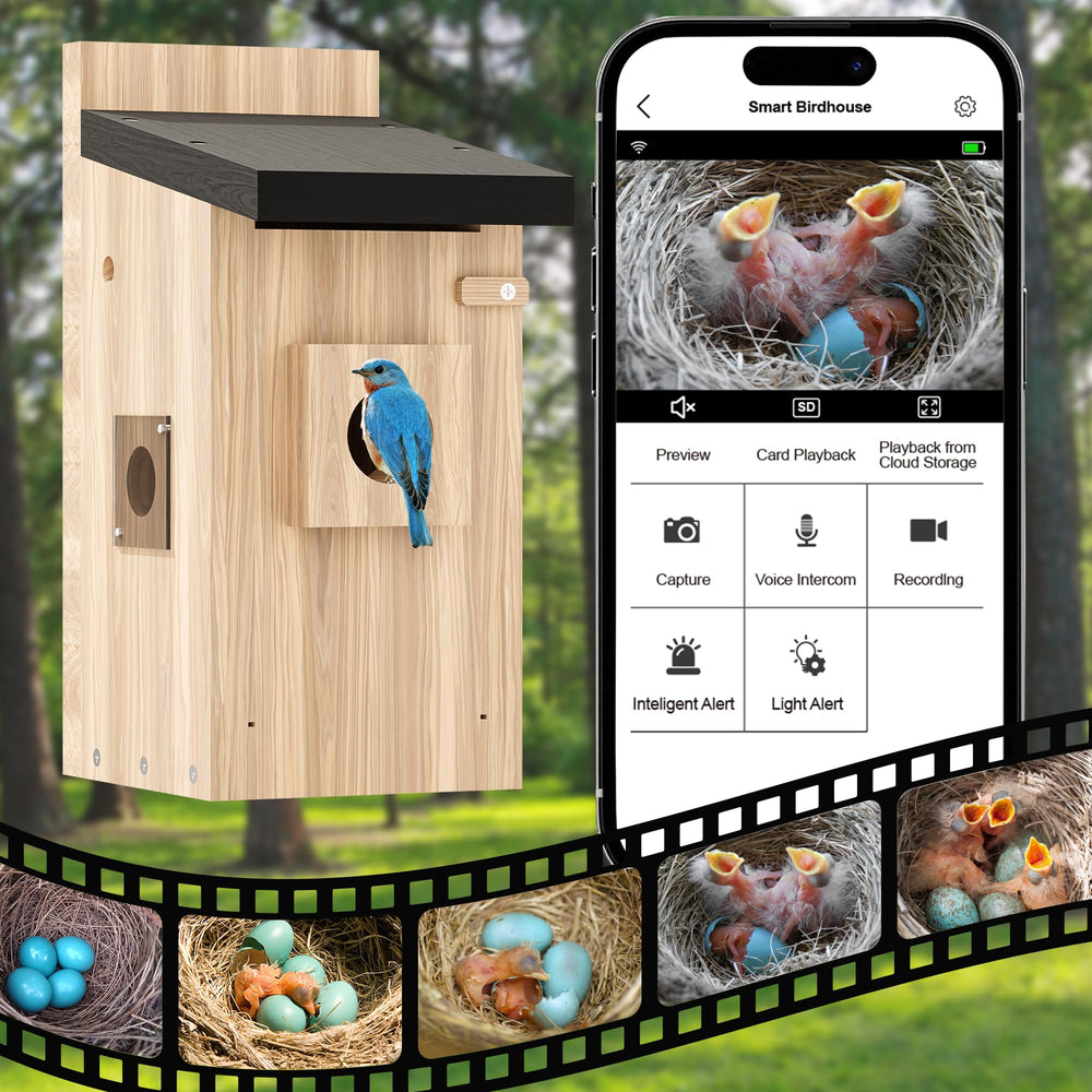 LPDISPLAY birdhouse handheld for scale showing compact size and easy placement