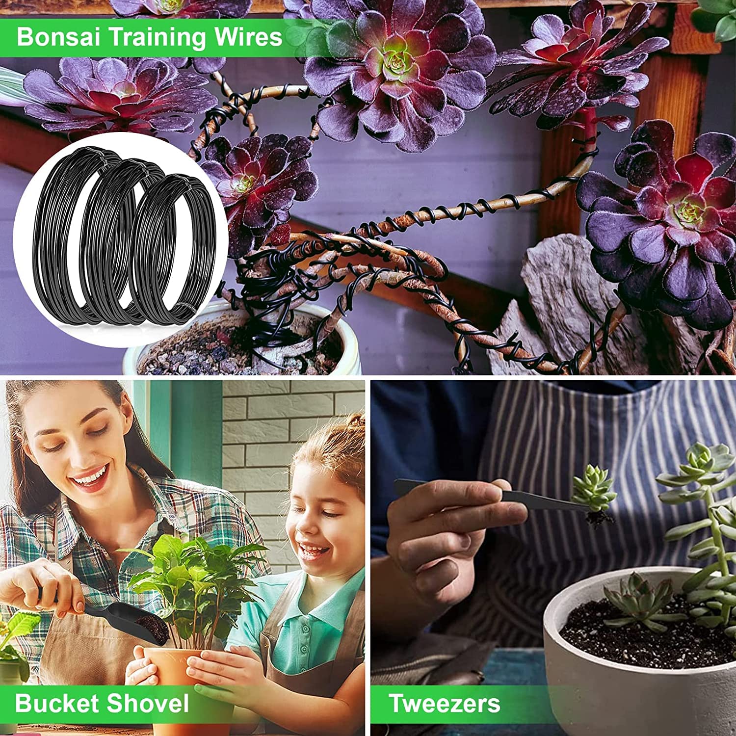 LQTTEK training wires and labels displayed to support organized bonsai shaping