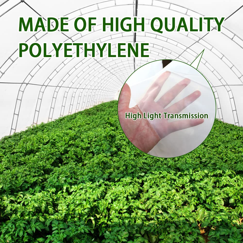 LSGCQ greenhouse film in garden setting illustrating better light and weather control