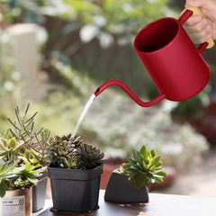 LTSUMI long spout close-up for precise watering of tight pots