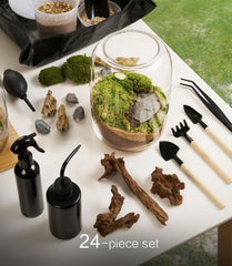 LUCKYRUNES live moss close-up highlighting natural texture and vibrant green