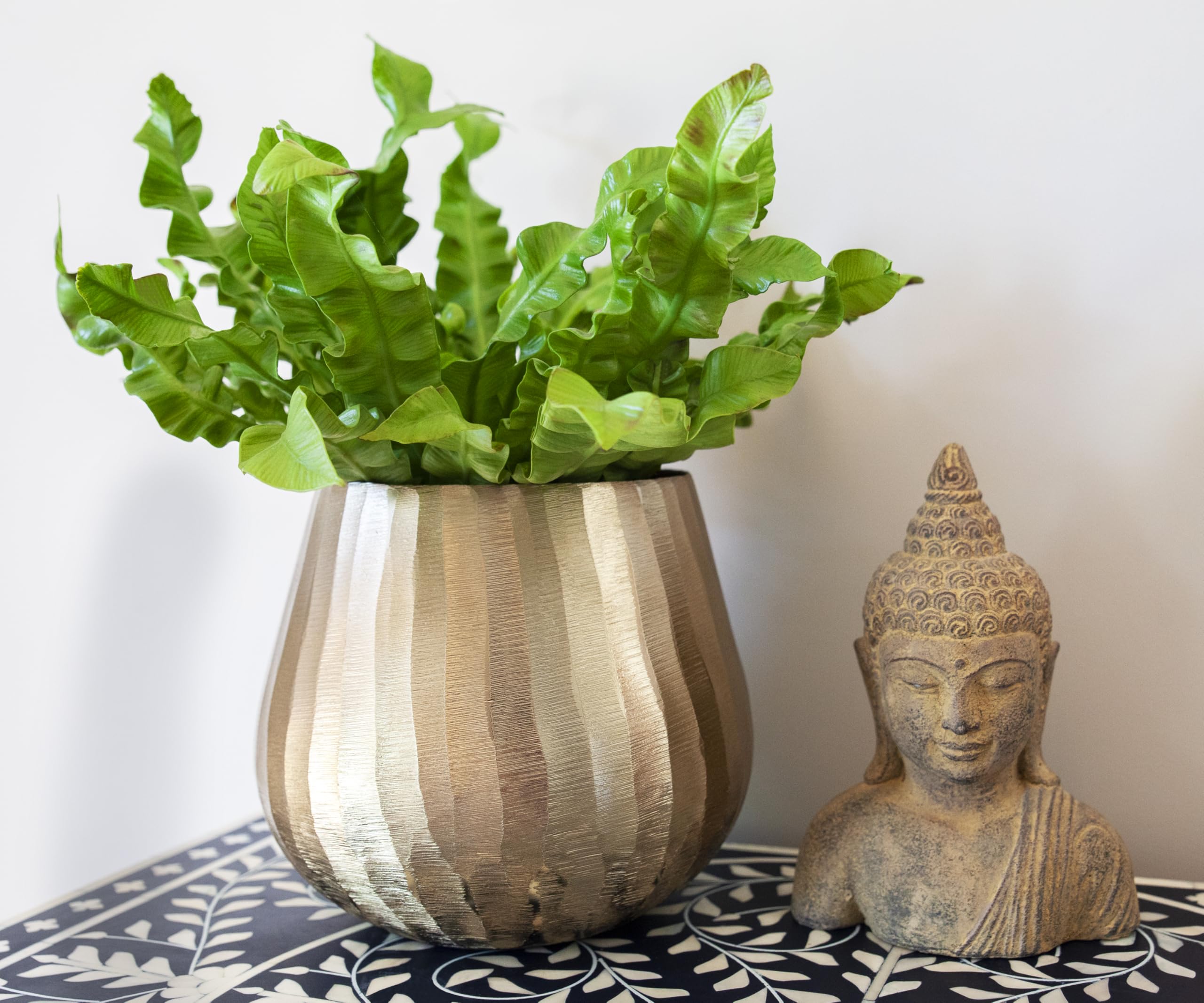Luene group of planters styled together for layered interior design effect