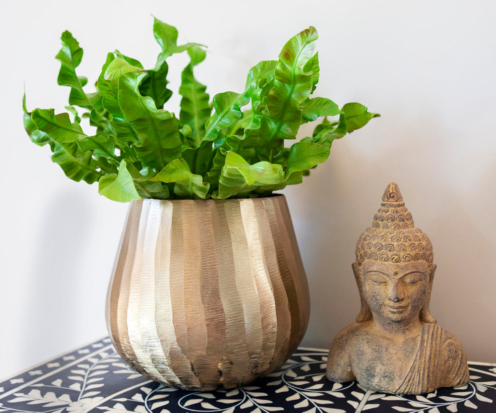 Luene group of planters styled together for layered interior design effect