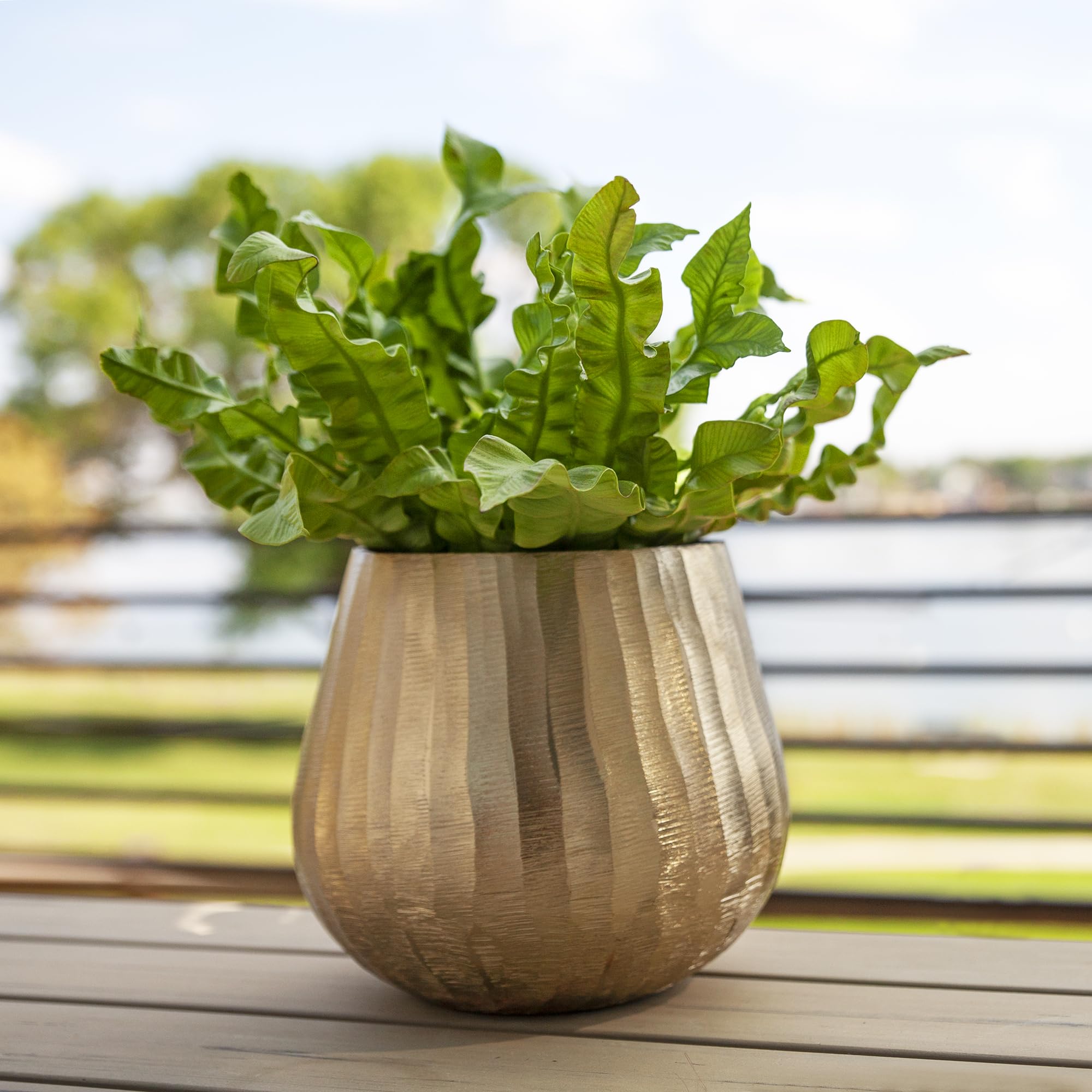 Luene planter staged in living room adding warm metallic accent to decor