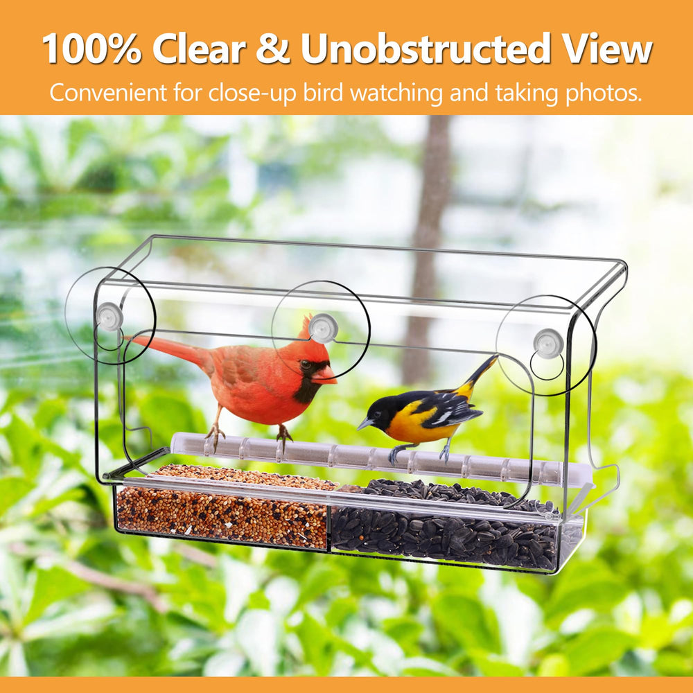 LUJII with cardinal perched showing suitability for larger birds