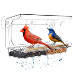 LUJII front view on window showing clear panorama for birdwatching