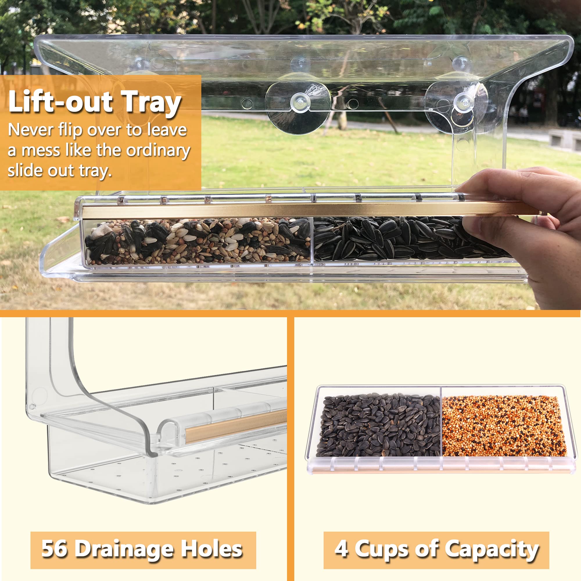 LUJII next to ruler showing scale and fit for window mounting