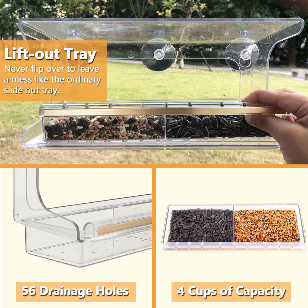 LUJII next to ruler showing scale and fit for window mounting