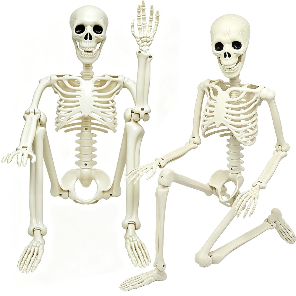 LUKBERA two skeletons front view showing realistic full-size bones and impact