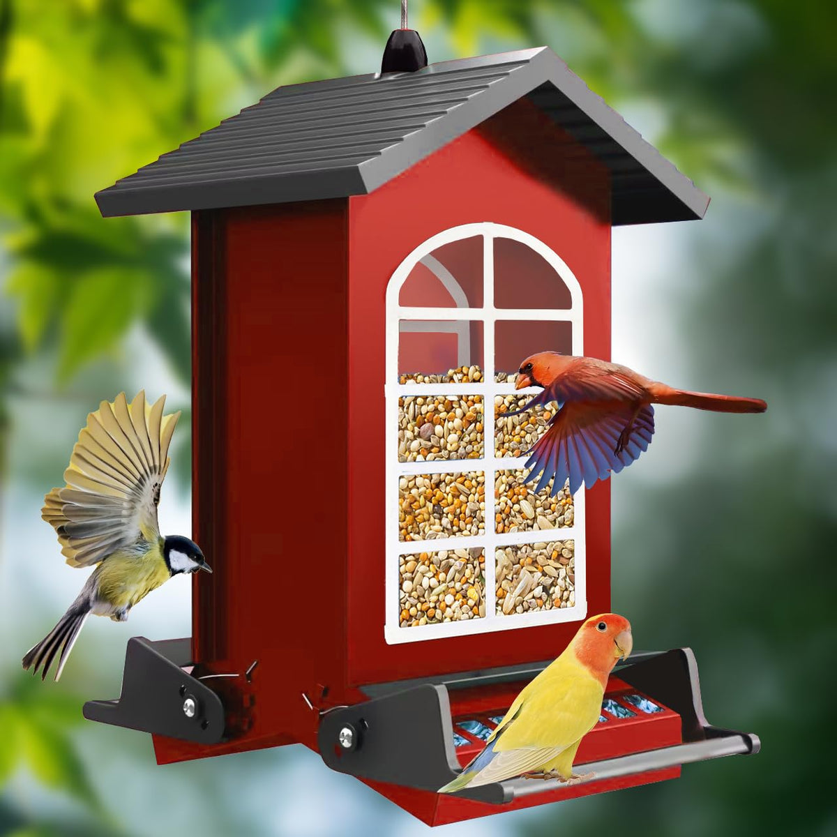 LUKCOZMO feeder front view showing metal body and perches, durable outdoor feeding