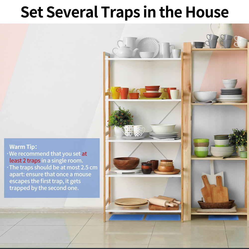 LULUCATCH tray with captured rodent demonstrating heavy-duty trapping performance