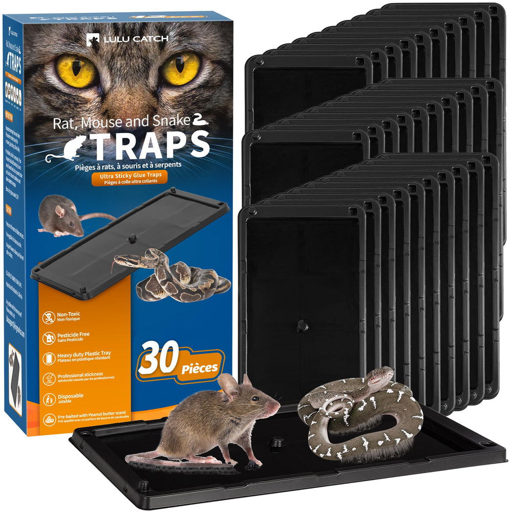 LULUCATCH front packaging showing 30 pre-baited glue boards for quick pest control