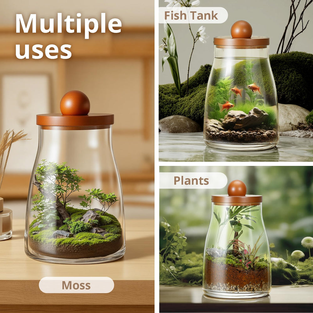 Lumboarbo in-use as a small betta tank on a desk showing compact aquatic setup